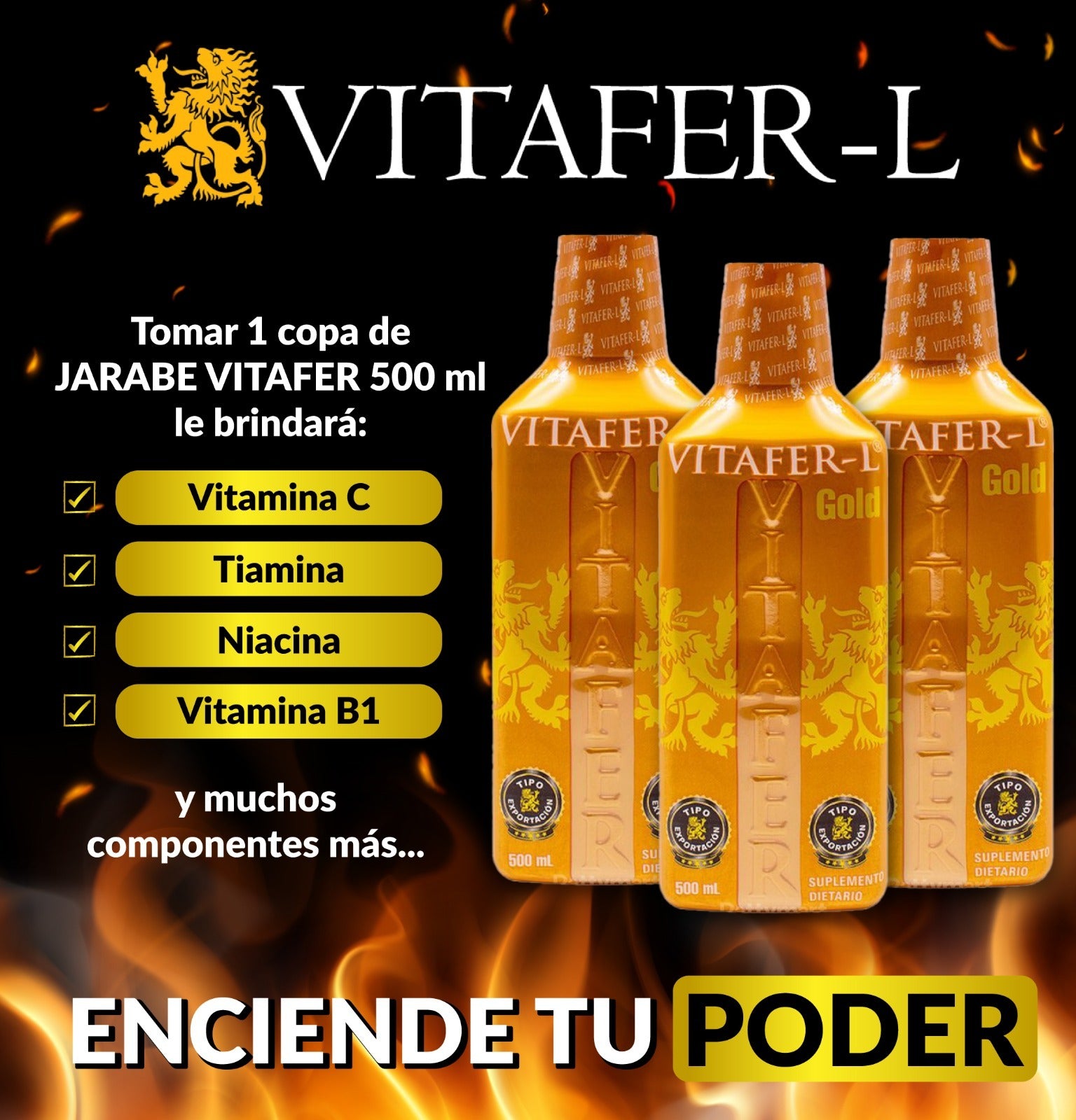 VITAFER JARABE 500ML