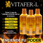 VITAFER JARABE 500ML