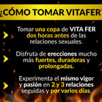 VITAFER JARABE 500ML